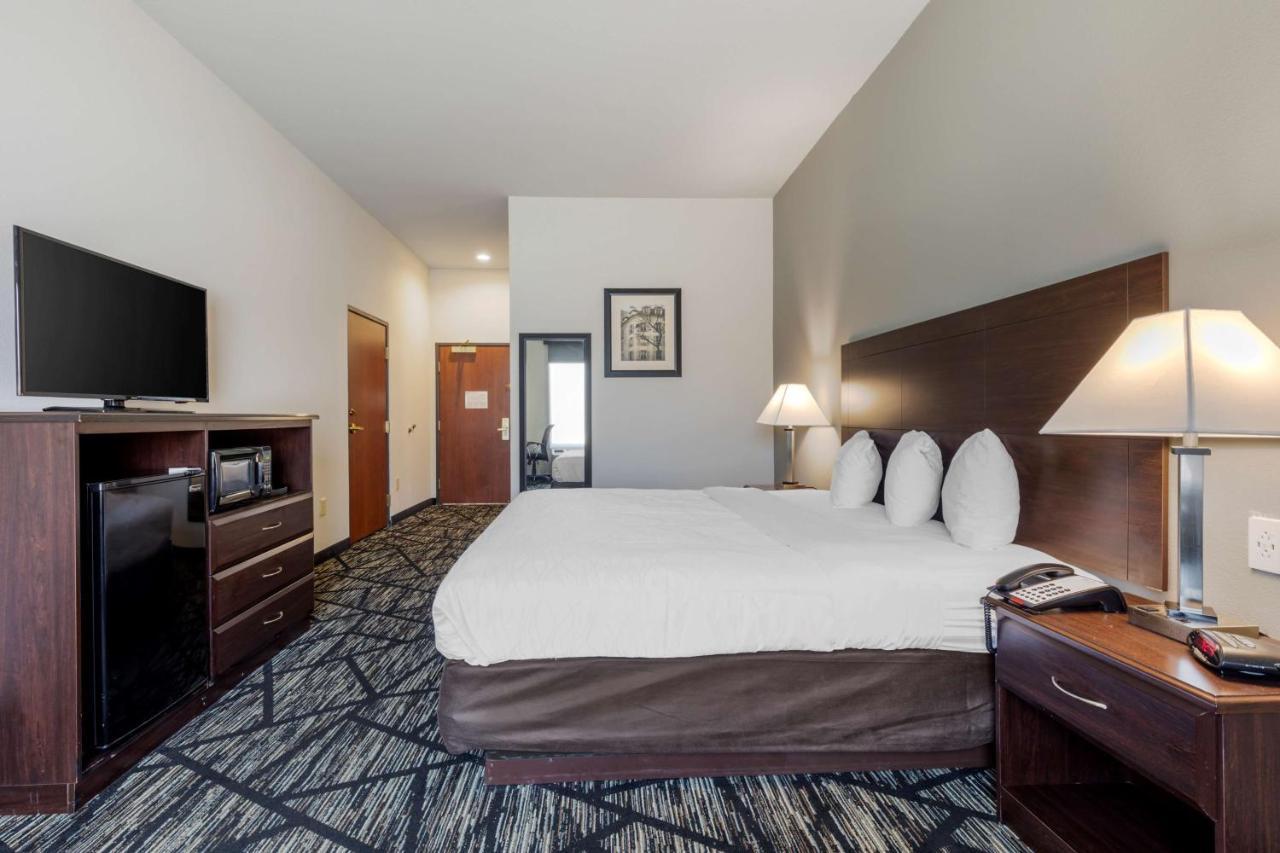 Best Western Plus McKinney Inn&Suites Extérieur photo