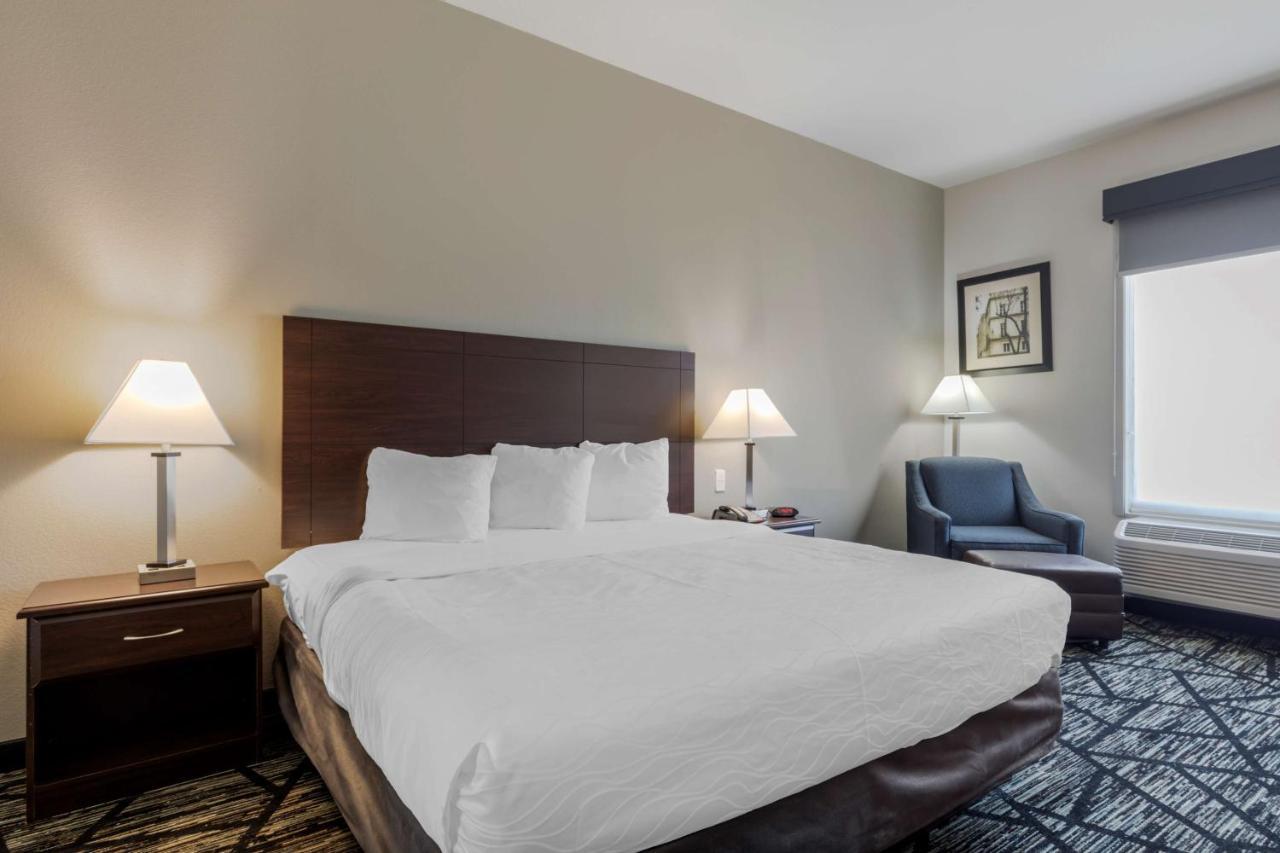 Best Western Plus McKinney Inn&Suites Extérieur photo